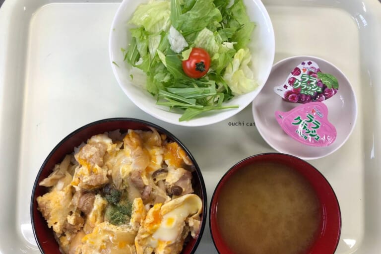 【親和の学生寮】今日の晩ごはん☆親子丼