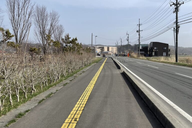 今日はお客様感謝デー