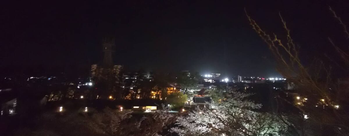 【おーちゃんの休日】本荘公園で夜桜♪