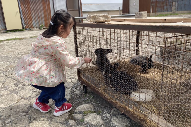 【あや吉の休日】鳥海山と菜の花と土田牧場。