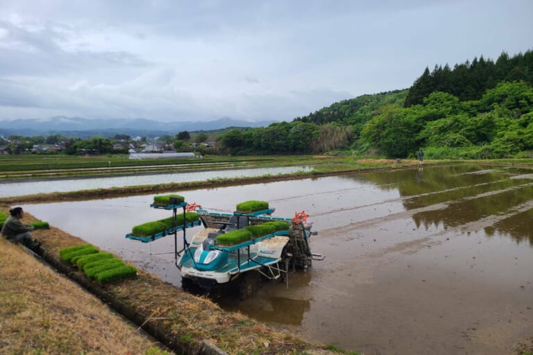 【親和の学生寮】寮母さっちょん、田植えに突撃！