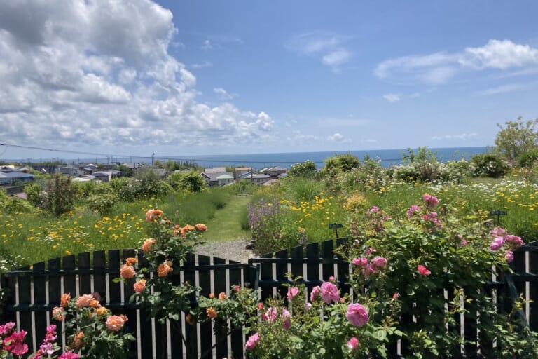 【あや吉の休日】海を見下ろす丘のガーデン～岩城