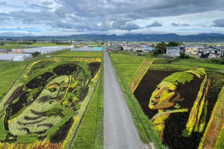 田舎館村の田んぼアート（青森県南津軽郡）