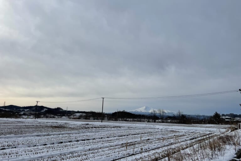 今朝の鳥海山