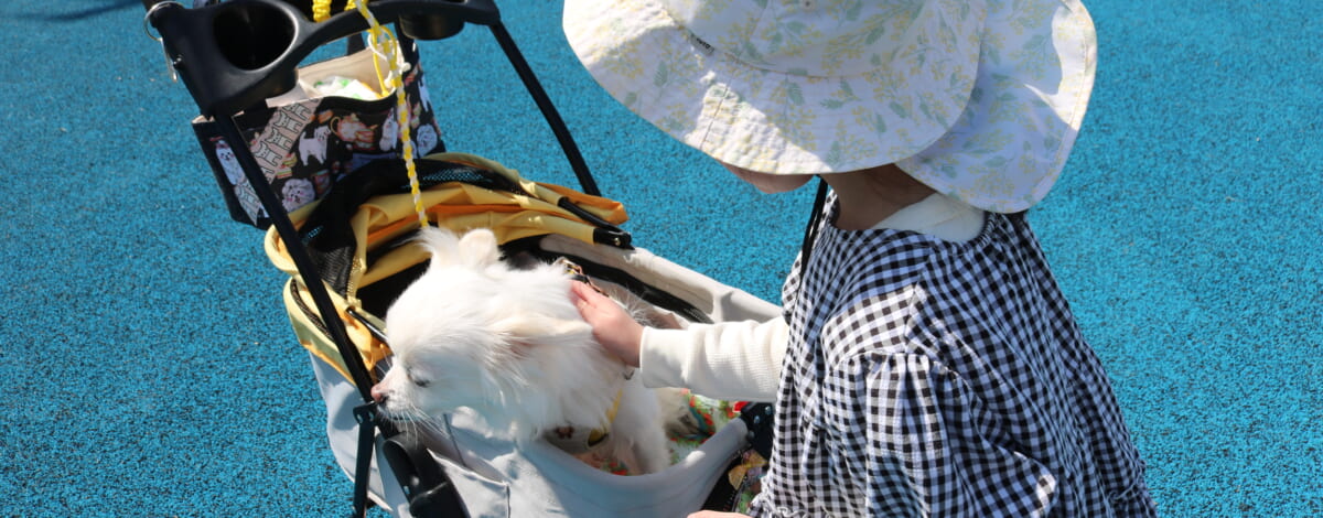 【あや吉の休日】南極公園（金浦）