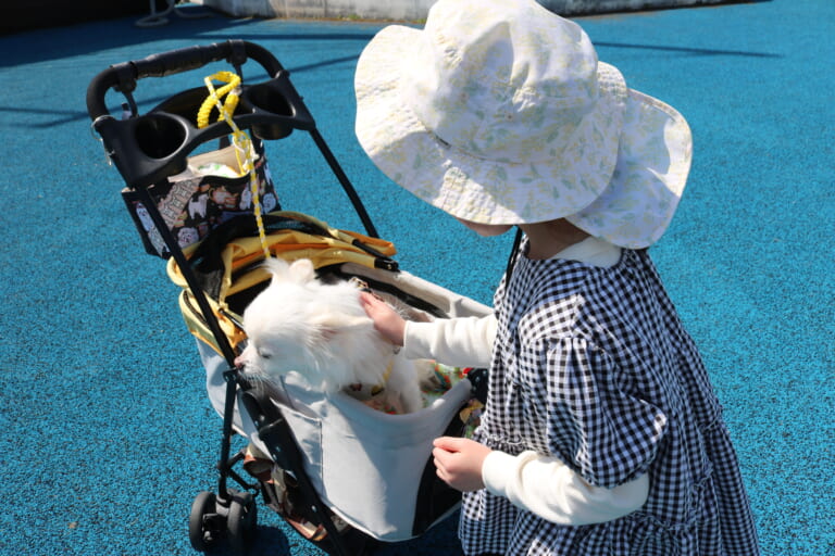 【あや吉の休日】南極公園（金浦）