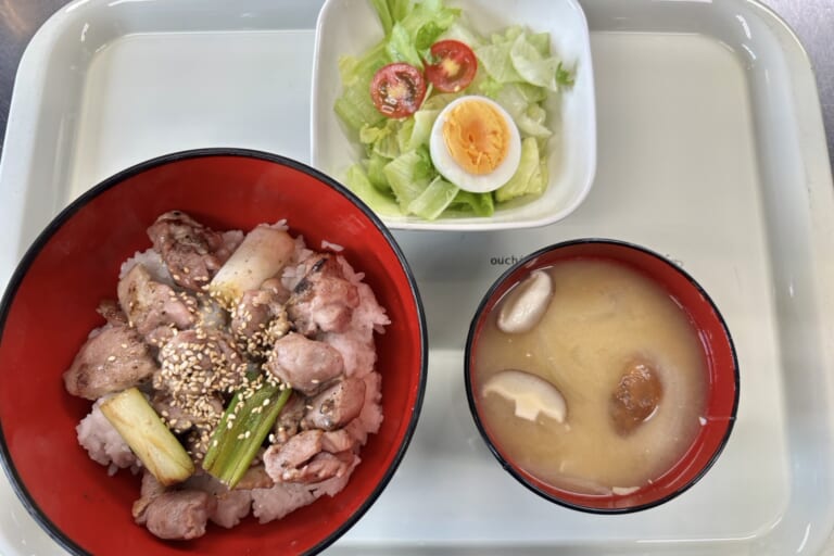 【親和の学生寮】今日の晩ごはん☆やきとり丼