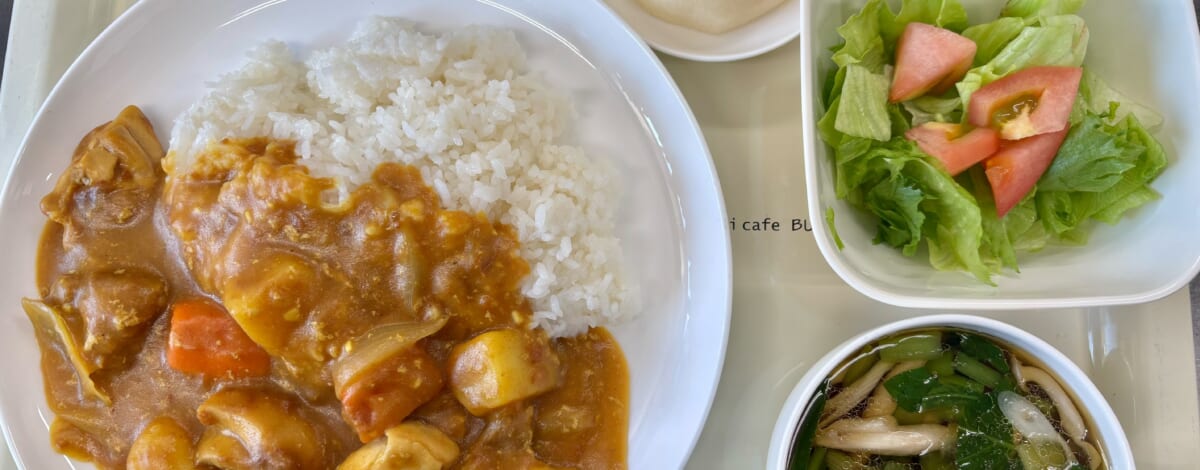 【親和の学生寮】今日の晩ごはん☆チキンカレー